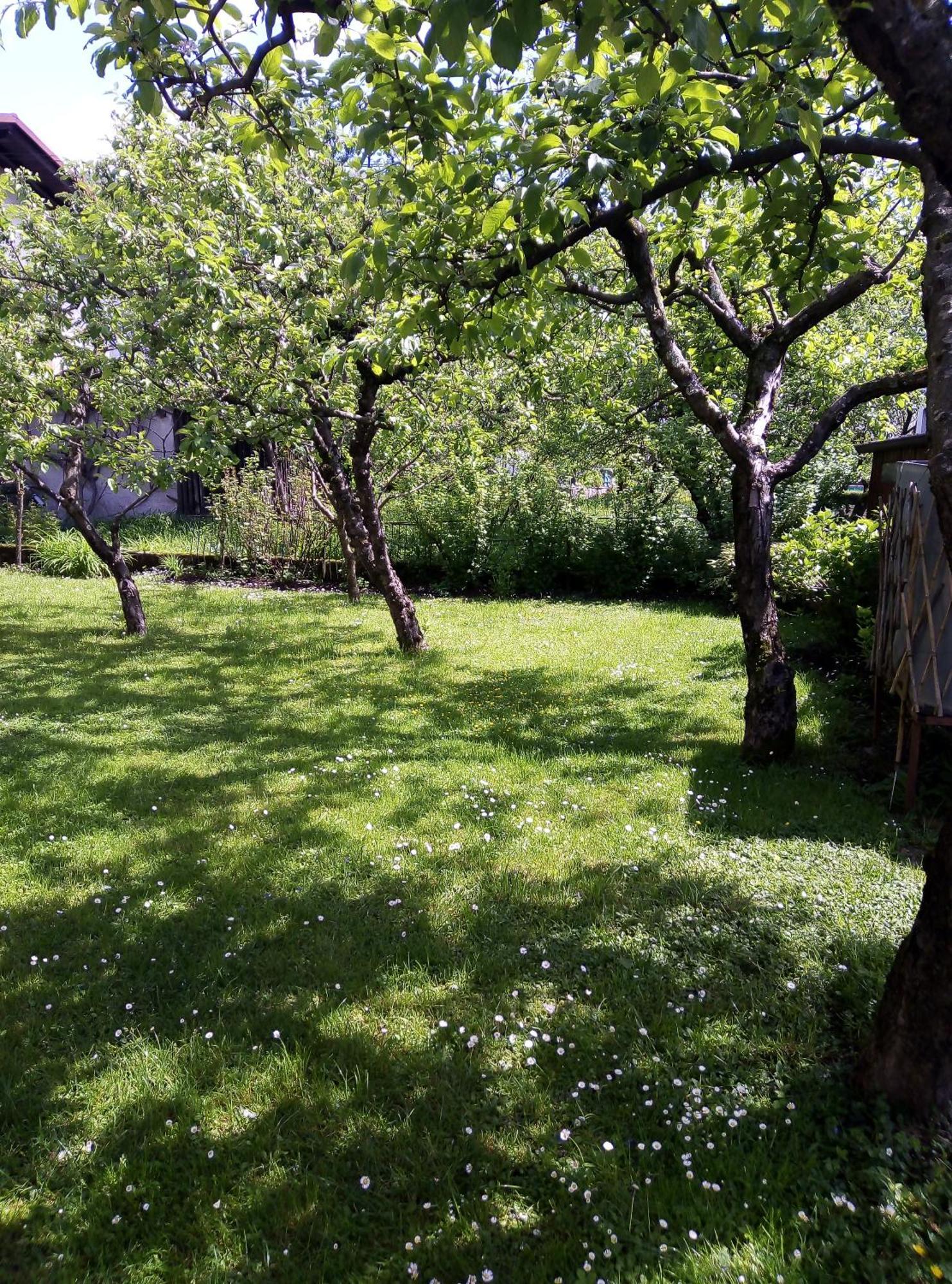 Apartma Rutar Tolmin Dış mekan fotoğraf